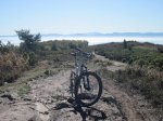 fotogorbea4.JPG