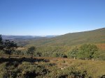 fotogorbea2.JPG