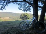 fotogorbea1.JPG
