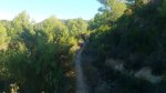DSC_0094.jpg
