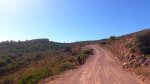 DSC_0099.jpg