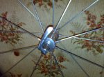 12082011303.jpg
