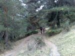 081020111212.resized.jpg