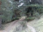 081020111213.resized.jpg