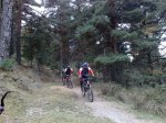 081020111215.resized.jpg