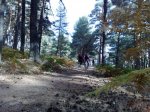 081020111220.resized.jpg