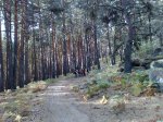 081020111221.resized.jpg