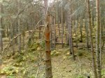 081020111229.resized.jpg