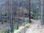 081020111230.resized.jpg