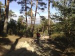 081020111233.resized.jpg