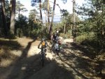 081020111234.resized.jpg