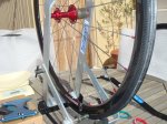 DSC08059.JPG