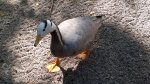 121020111207.jpg
