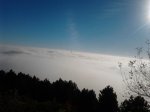 2011-10-12 10.11.37_800x600.jpg