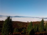 2011-10-12 10.23.20_800x600.jpg