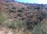 IMG_1103_1.jpg