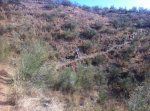 IMG_1104_1.jpg
