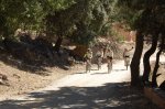 DSC_1773.JPG