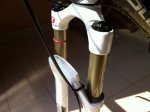 img1283wt.jpg
