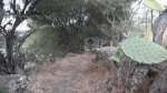 12102011156.jpg