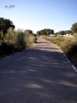 PA120096.JPG