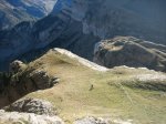 IMG_5795.JPG