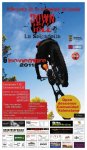 cartell corregit dh.jpg