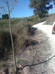 Imagen0568.jpg