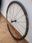 RUEDA DELANTERA 33MMS BUJE EXTRALITE SX.jpg