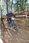 DSC_0108_514x768.jpg