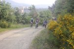 2800- IMG_0720.JPG