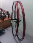 IMAG0272_resize.jpg