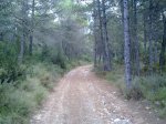 15102011207_855x642.jpg
