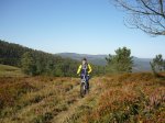 P1030922 (Copiar).JPG