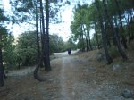 DSC00280.JPG