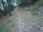 DSC00279.JPG