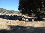 DSC00283.JPG
