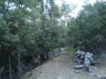 DSC00281.JPG