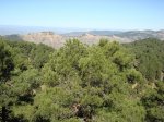 DSC00294.JPG