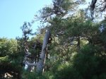 DSC00298.JPG