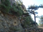 DSC00301.JPG