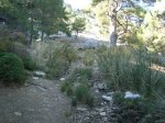 DSC00328.JPG
