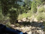 DSC00306.JPG