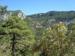 DSC00315.JPG
