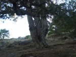 DSC00327.JPG
