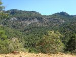 DSC00314.JPG