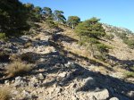 DSC00324.JPG