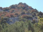 DSC00316.JPG