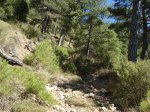 DSC00305.JPG