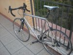 DSCN2079.JPG